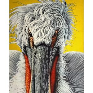 Stola Pellicano In Cashmere